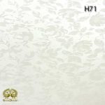 هایگلاس ایشیک (ISIK) کد H71