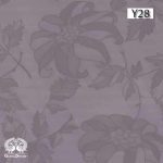 هایگلاس ایشیک (ISIK) کد Y28