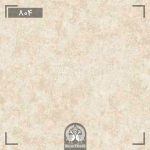 آلبدم کاغذ دیواری ادج (Edge) - 804