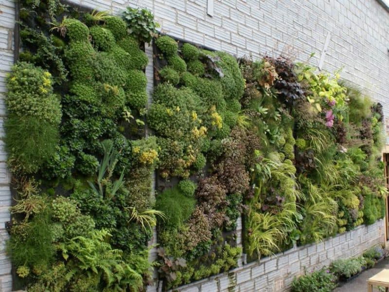 ایده هایی برای طراحی دیوار حیاط